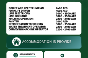 Arab  Saudi- Mechanic